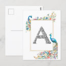 Search for a frame postcards Flowers