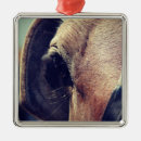 Search for amish christmas tree decorations Equine