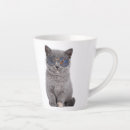 Search for cute kitty cat mugs Stars