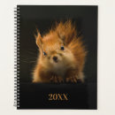 Search for squirrels office supplies Animal