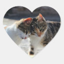 Search for cuddle stickers Cute