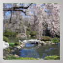 Search for japanese photography Garden