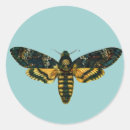 Search for deaths head stickers Moth