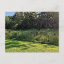 Search for forest path postcards Landscape