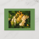 Search for wild chubby business cards Photography