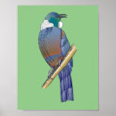Search for tui posters Bird