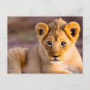 Search for lays postcards Lion