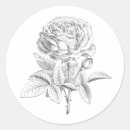 Search for vintage rose stickers Black and white
