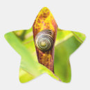 Search for green snail stickers Shell