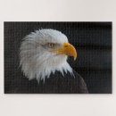 Search for brown beak Yellow