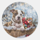 Search for pitbull puppy stickers Cute