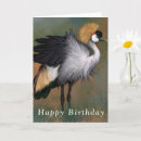 Search for crane bird cards Beautiful