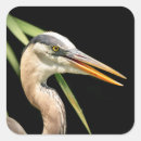 Search for heron stickers Animal