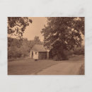 Search for vintage dog photos postcards Photography