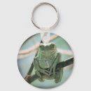 Search for froggy key rings Amphibian