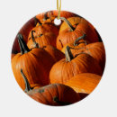 Search for pumpkin christmas tree decorations Farm
