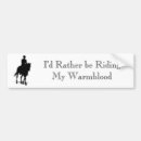 Search for warmbloods Dressage