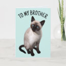 Search for siamese cats cards Funny