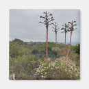 Search for pine tree magnets Green