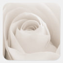 Search for rose petals stickers Bloom