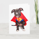 Search for you are my hero cards Superhero