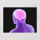 Search for nervous system postcards Detail
