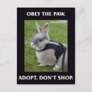 Search for rescue vertical postcards Adopt