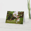 Search for apple birthday cards Flowers