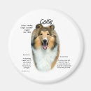 Search for breed magnets Dog
