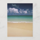 Search for hawaii postcards Seascape