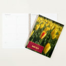 Search for tulips photography Yellow