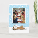 Search for sheltie cards Shetland sheepdog