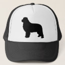 Search for pedigree hats Animal
