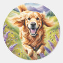 Search for lavender fields stickers Flowers