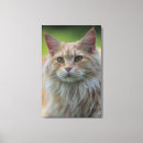Search for part 1 canvas prints Domestic cat