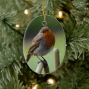 Search for red robin christmas tree decorations Wildlife