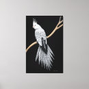 Search for avian canvas prints Aviary
