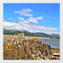 Search for view window decals Sea
