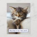 Search for napping invitations Kitten