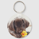 Search for labrador key rings Puppy