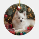 Search for eskimo christmas tree decorations Pet