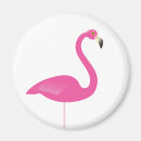 Search for fuchsia magnets White