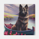 Search for belgian magnets Pet