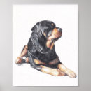 Search for rottweiler art Pet