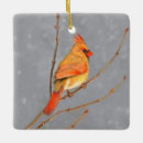 Search for branch christmas tree decorations Cardinal