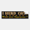 Search for feline bumper stickers Pet