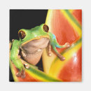Search for hide magnets Green
