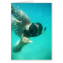 Search for diving photography Sports