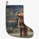 Search for scottish highland cow decor Calf