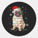 Search for black pugs stickers Halloween